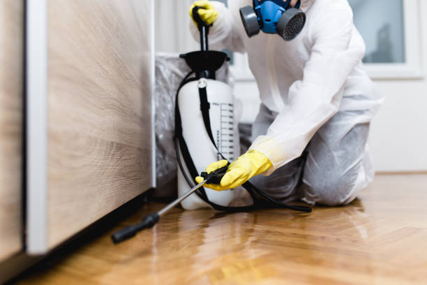 Best Insect Control  in Shady Cove, OR