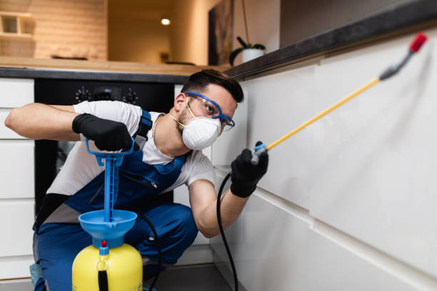 Best Mosquito Control Services  in Shady Cove, OR