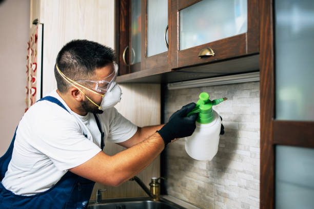 Best Affordable Pest Control Services  in Shady Cove, OR