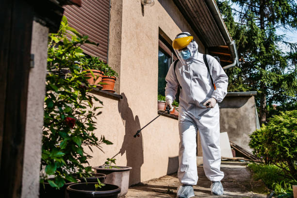 Wasp Removal Services in Shady Cove, OR