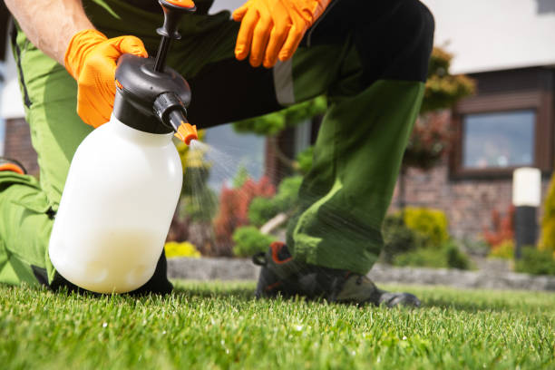 Professional Pest Control in Shady Cove, OR